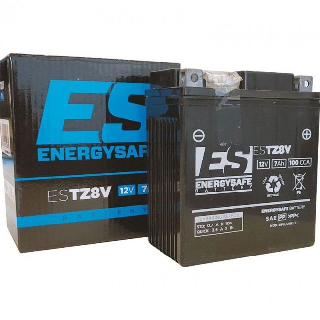 Batterie Energy Safe ESTZ8V